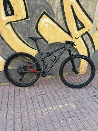 Specialized Epic 2020 gris mate
