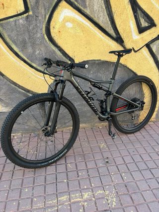 Specialized Epic 2020 gris mate