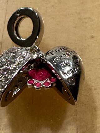 Charm Corazon de mascota