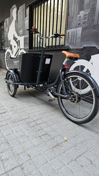 Babboe Curve Mountain