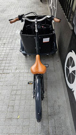 Babboe Curve Mountain