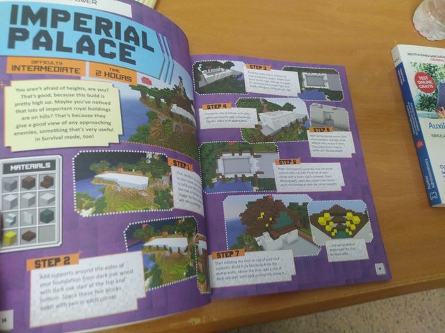 Pacheco cara floja de Minecraft +...