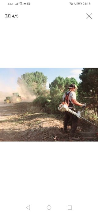 Limpieza de parcelas poda de árboles