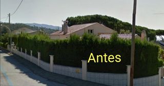 Jardinero económico