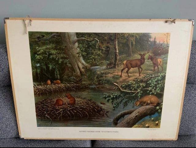 Mural escolar reversible vintage