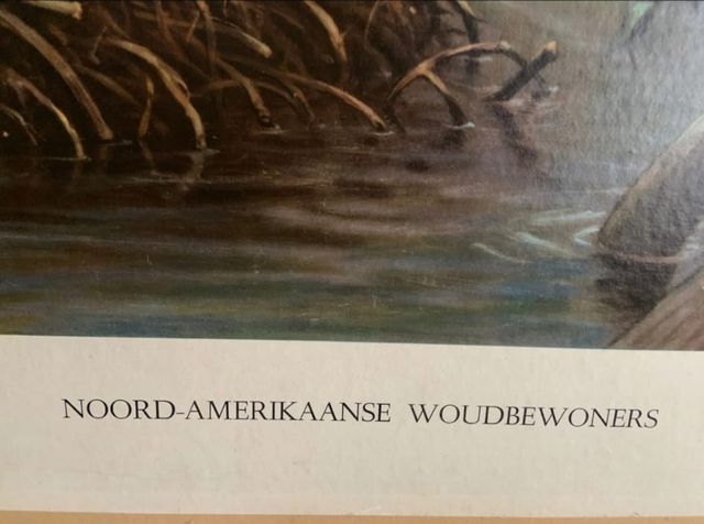 Mural escolar reversible vintage