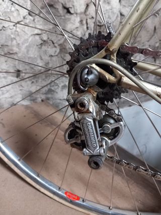 Benotto Roubeaix clasica