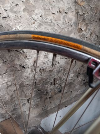 Benotto Roubeaix clasica