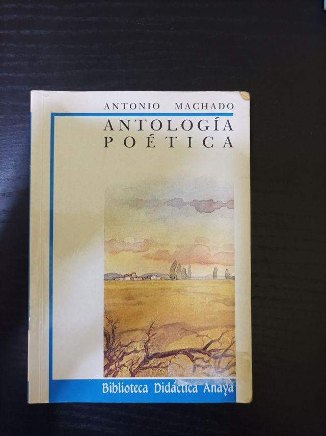 Antología poética de A. Machado (Biblioteca Didactica Anaya) (Spanish Edition)
