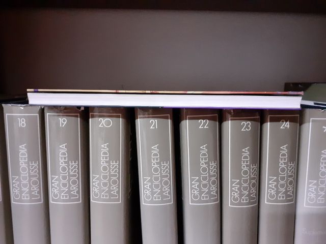 No toquéis a los ídolos (Punto de encuentro) (Spanish Edition)