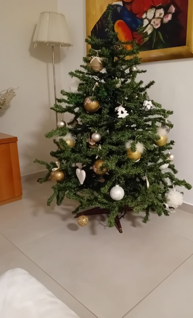 Albero di Natale ecologico Moranduzzo