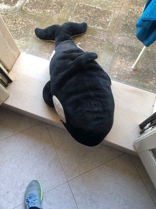 Bellissimo peluche a forma di squalo