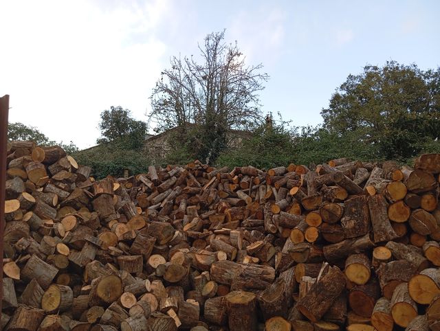 Leña castaño seco 80 la tonelada