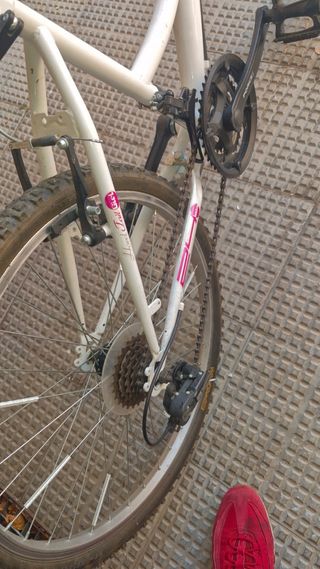 Bicicleta 24 pollici