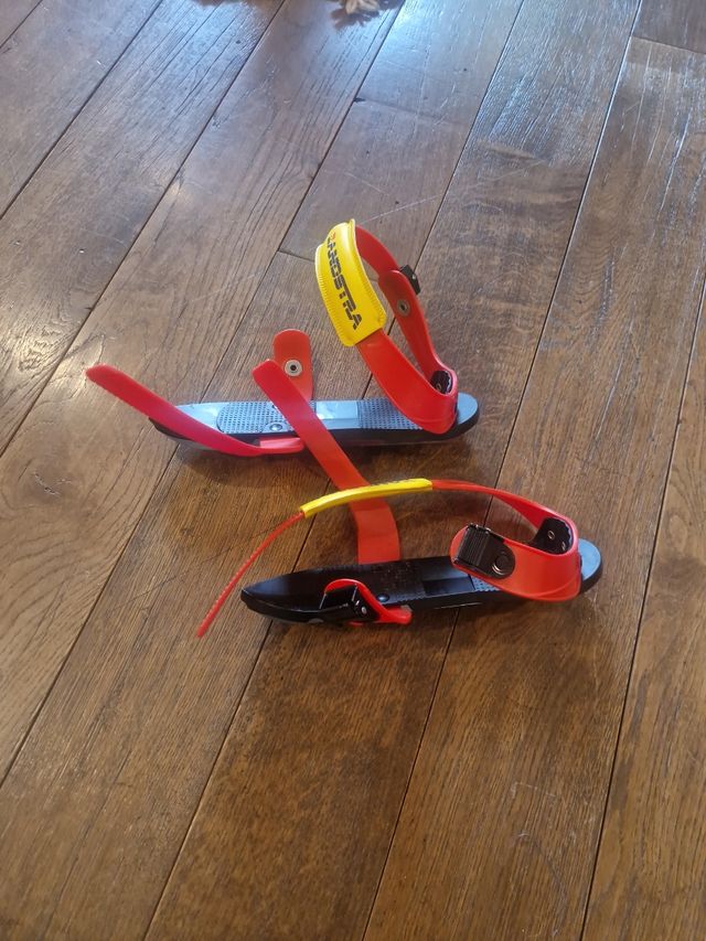 Patinetes de invierno