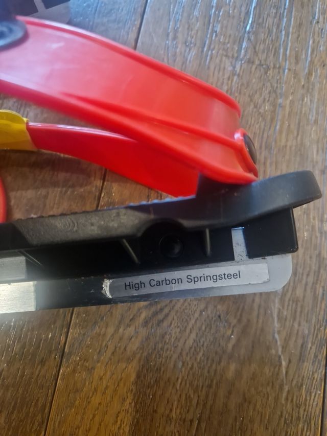 Patinetes de invierno