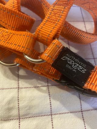 lote arnes  mascotas 