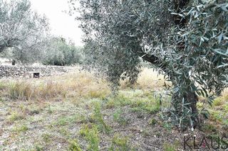 Casa rural en venta en Montsià de Mar en Alcanar