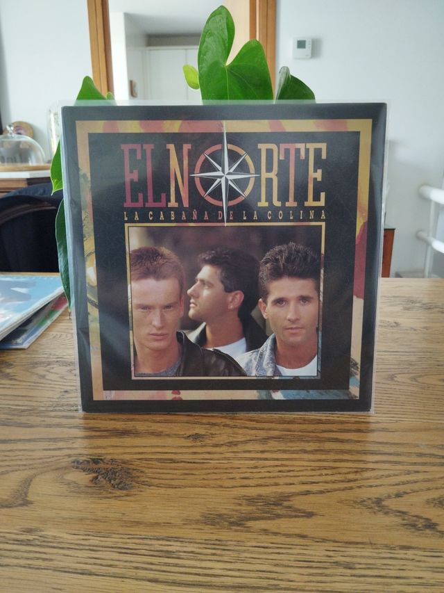 VINILO EL NORTE - LA CABAÑA DE LA COLINA