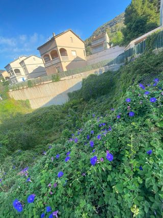 Desbrozamiento de parcelas