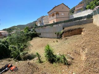 Desbrozamiento de parcelas