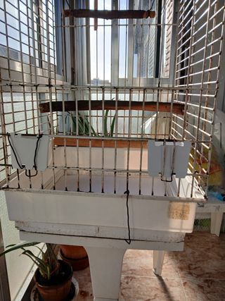 Jaula Loro con base de peana