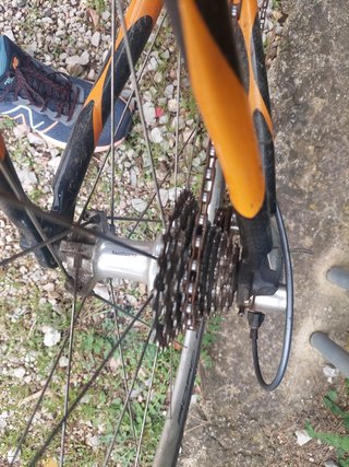 Bicicleta