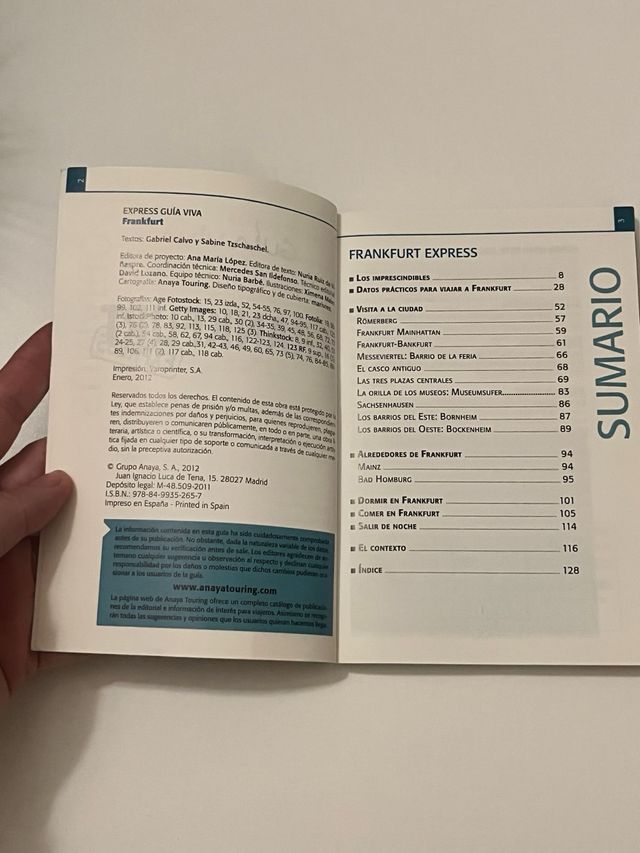 guia viaje Frankfurt