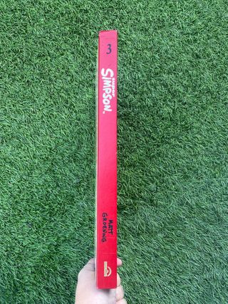 Viaje a la montaña Simpson (Súper Simpson 3)