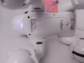 Perro robotico
