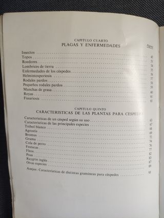 Apuntes sobre céspedes