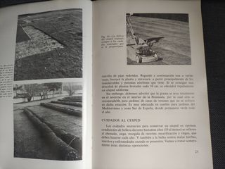 Apuntes sobre céspedes