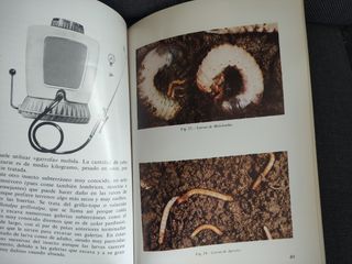 Apuntes sobre céspedes