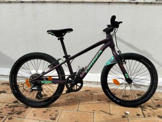 Bicicleta 20'