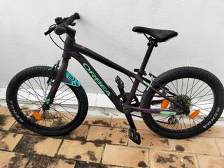 Bicicleta 20'