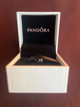 Charm Pandora