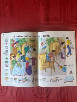 Libro diccionario francés