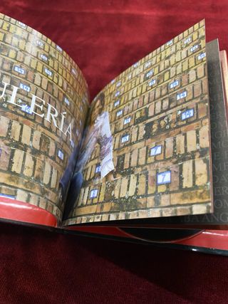 CD Libro David Bisbal - Bulería