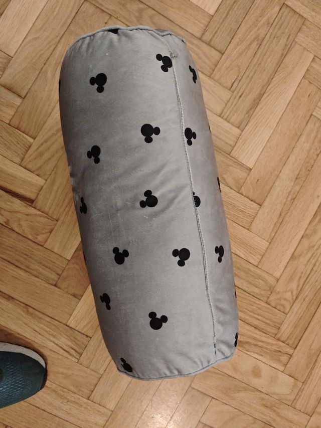 Cogí circule Mickey mouse