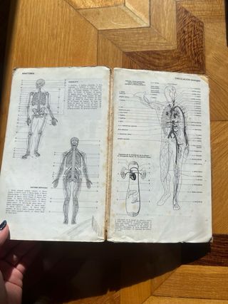 Diccionario Usual (Spanish Edition)