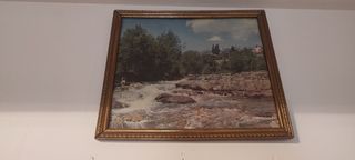 Cuadro de imágen de naturaleza