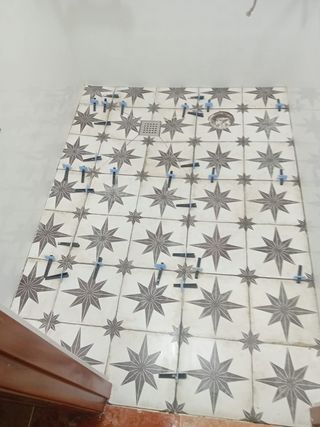 Paleta/albañiles /instaladores