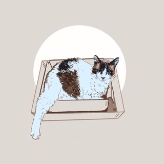 Retrato de mascota