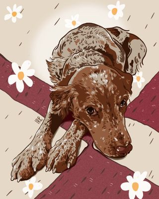 Retrato de mascota