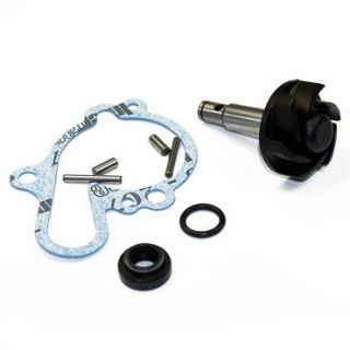Kit reparación bomba agua Motor Minarelli AM5, AM6