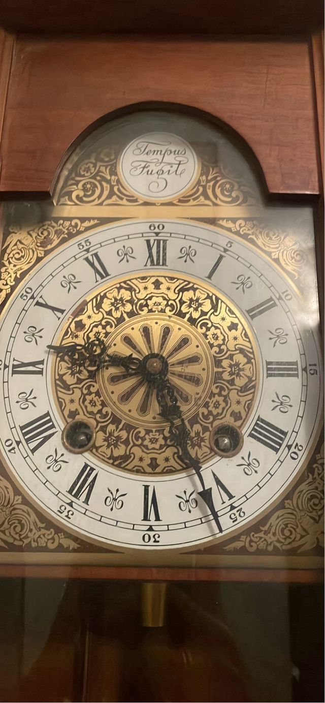 Orologio da parete Tempus Fugite