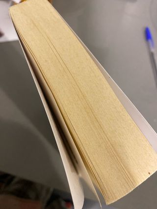 Troll Hunters, Tome 01: Troll hunters