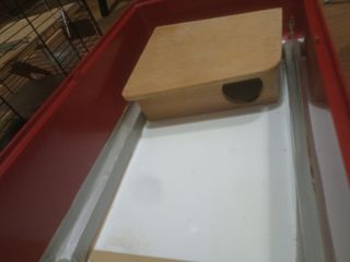 Jaula para pájaros adaptada para hamster.