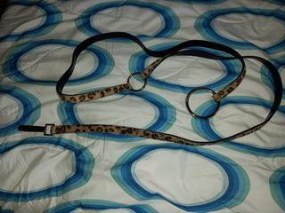 Cintura Coccinelle in cavallino