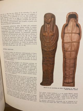 Historia universal de la medicina. Lain entralgo